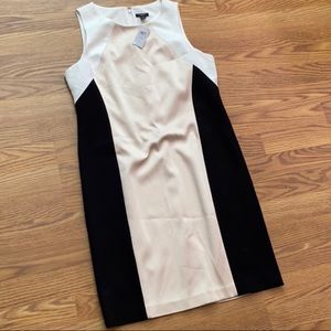 NWT $139 Ann Taylor size 12P dress color block